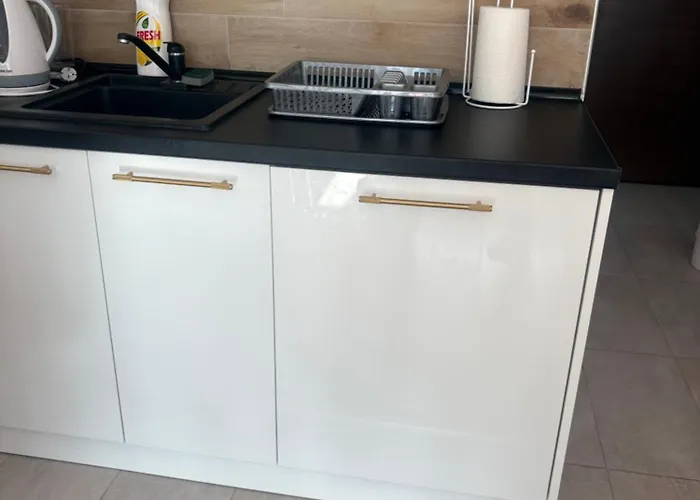 公寓 The Nest 科帕奥尼克