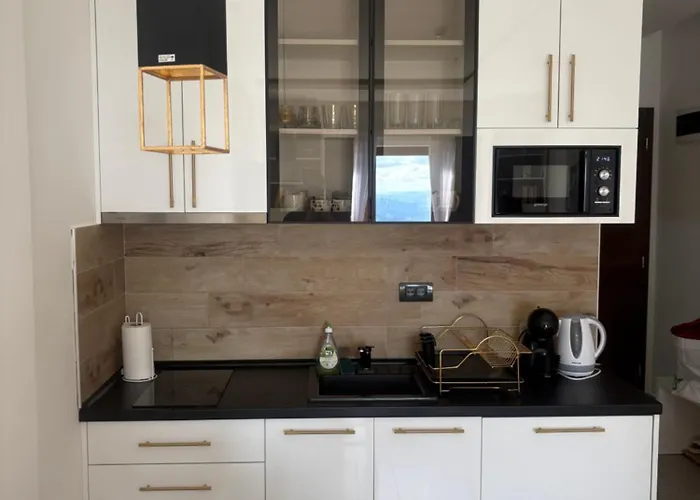 The Nest 公寓 科帕奥尼克