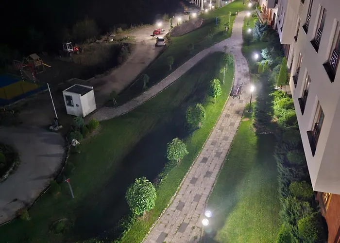 The Nest 科帕奥尼克