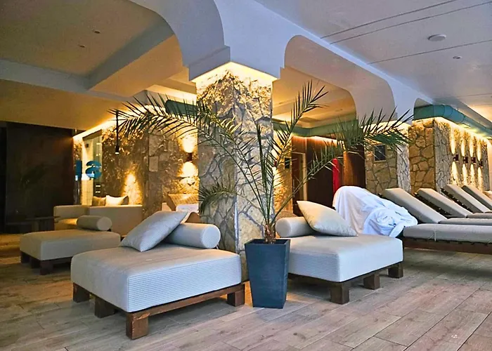 The Nest 科帕奥尼克